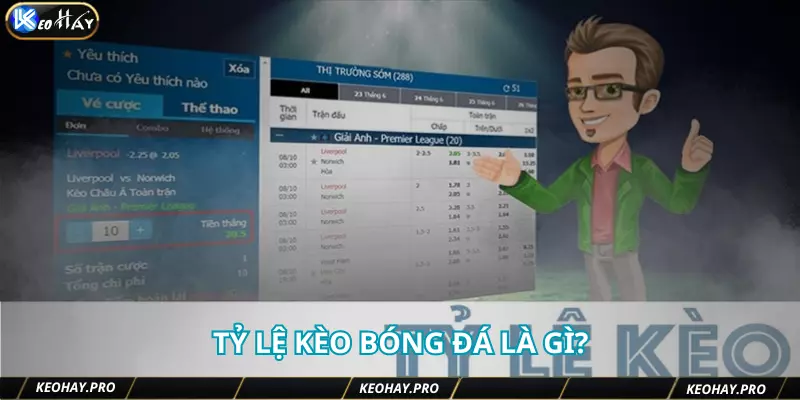 Tỷ lệ bóng đá là gì?