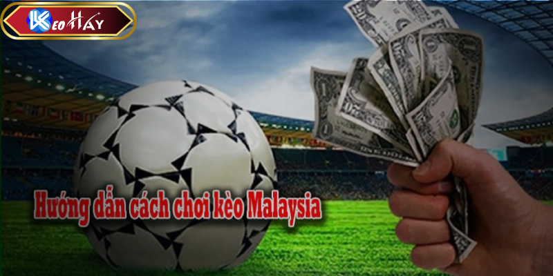 Cách đọc tỷ lệ kèo Malaysia