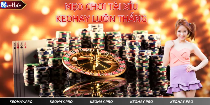 Mẹo chơi tài xỉu tại Keohay tăng khả năng thắng